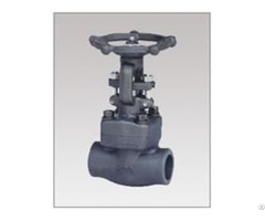 Forged Steel Bolted Bonnet Gate Valve Class 150 300 600 800