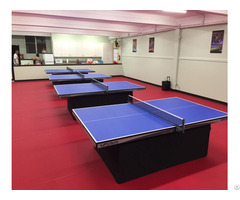 A Pvc Table Tennis Flooring