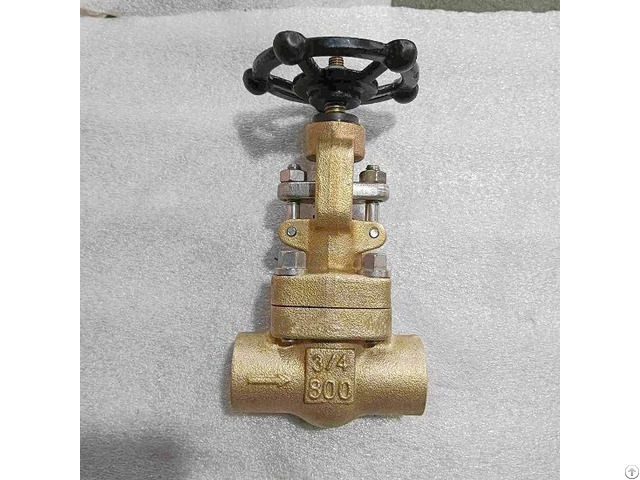 Astm B148 C95800 Globe Valve