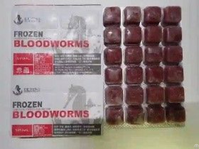 Frozen Bloodworms Fish Food