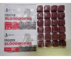 Frozen Bloodworms Fish Food