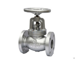 With Globe Valve