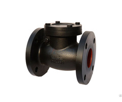 A Check Valve