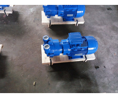 2bv6110 Liquid Ring Vacuum Pump