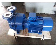 2bv5110 Water Ring Vacuum Pump