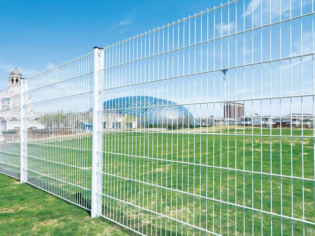 Double Wire Fencing