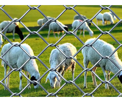 Galvanized Chain Link Fence Resists Rust And Corrosion Due To Its Zinc Coating