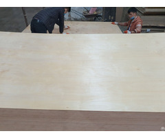 Vietnam Birch Plywood