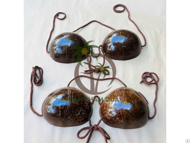 Coconut Shell Bra