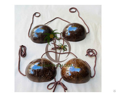 Coconut Shell Bra