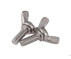 Stainless Steel Butterfly Screw