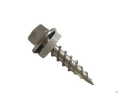 The 410 Stainless Steel Pointed Screw