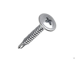 The 410 Stainless Steel Truss Head Self Drilling Screw