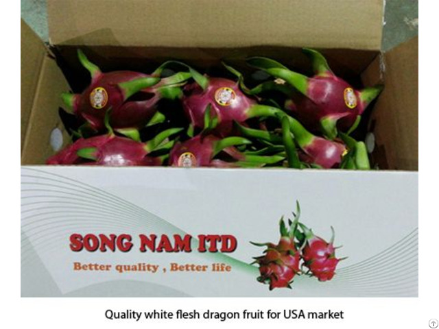 Song Nam Dragon Fruits In Vietnam