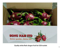 Song Nam Dragon Fruits In Vietnam