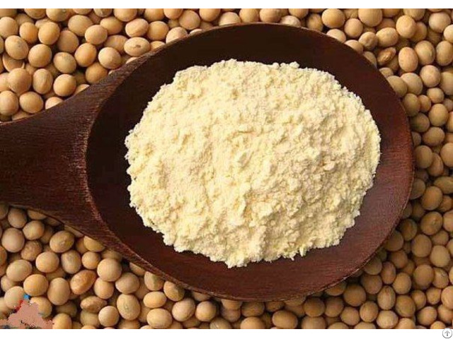 Soy Milk Powder Suppliers