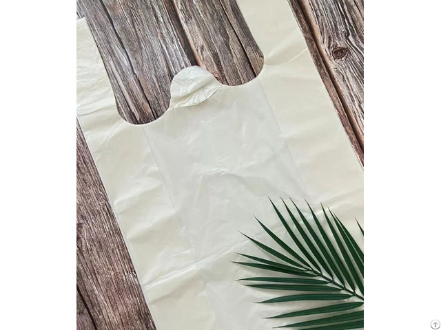 Custom Compostable Shopping Bags