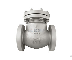 Three Inch Check Valve