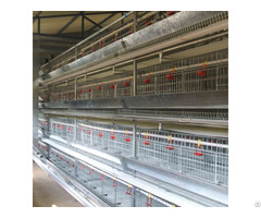 Broiler Battery Cage For Layer Chicken Farm Shed