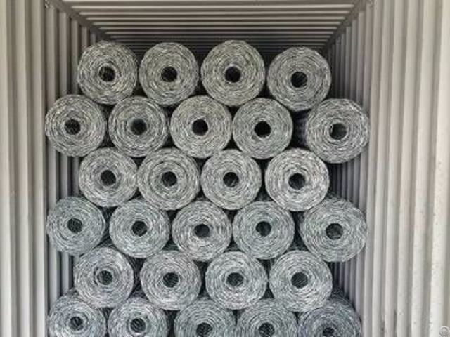 Exagonal Wire Mesh