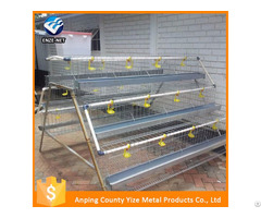 H Type Control Chicken Layer Cage Price