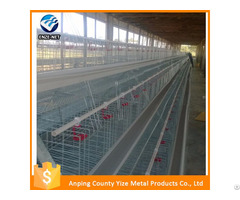 Best Sell A Type Chicken Layer Egg Cages For Poultry Shed Farm In South Africa