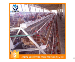 Uae Chicken Farm Building Poultry Layer Equipment For Sale