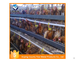 Types Of Layer Chicken Cages For Zimbabwe Poultry Farm