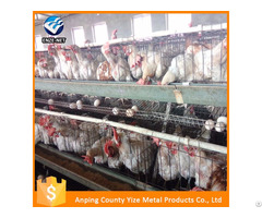 Wire Mesh Cage Chicken Layer For Kenya Farms