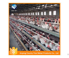 Chicken Feeding System H Type Battery Cage For Layers