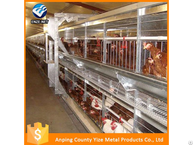 A Type Broilers Chicken Cages Design For Sale China