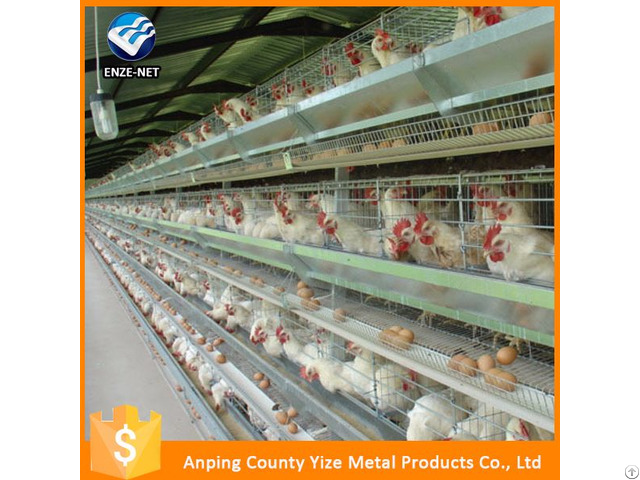 Three Tiers Folding Chicken Cages Kenya For Hen