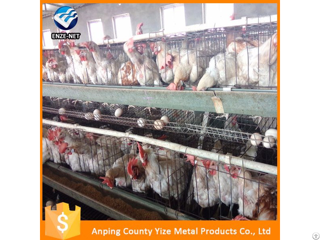 Automatic Poultry Farming System For Chickens Layer Cages With Capacity Of 340 Birds Per Cage