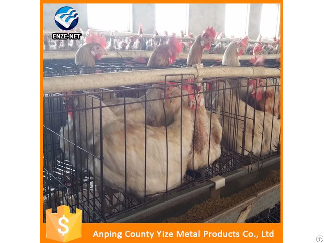 Best Sale Uganda Poultry Farm Automatic Chicken Layer Cage In South Africa