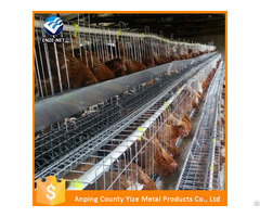 Automatic Poultry Layer Cages Systems Chicken Feeder For Egg Layers