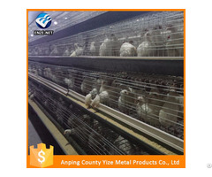 Chickens Feeds Production Poultry Equipment For Layer Chicken