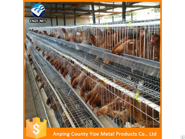 Raising Broiler Chicken Farm Poultry Equipment For Sale