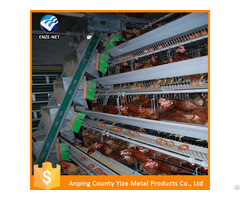 Layer Poultry Cages For Chickens In Zambia Lusaka