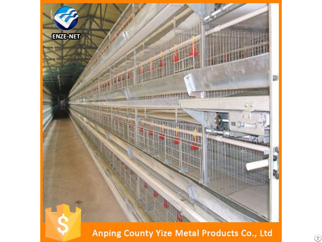 Chicken Feed Systerm Broiler Equipments Layers Battery Cage