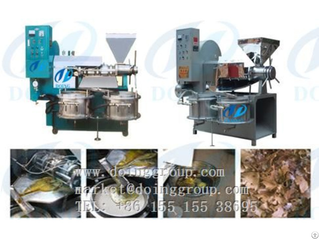 Top New Sunflower Oil Press Machine