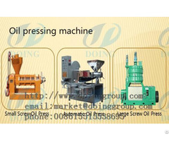 Rapeseed Oil Processing Line