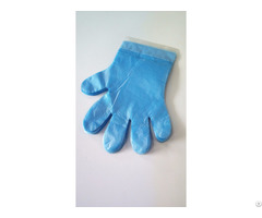 Cheap Daily Use Hand Protect Hdpe Poly Gloves