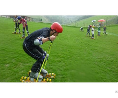 Grass Skiing Cart Equipment Mountain Outdoor Amusement Slide System