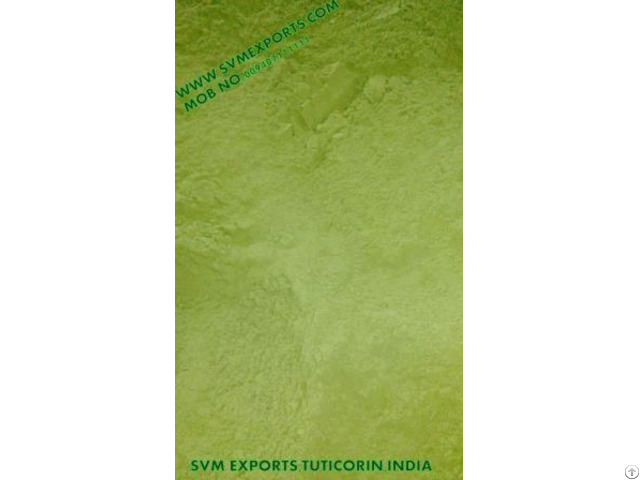 Pure Moringa Leaf Powder Exporters