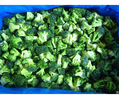 Frozen Broccoli 20 40mm