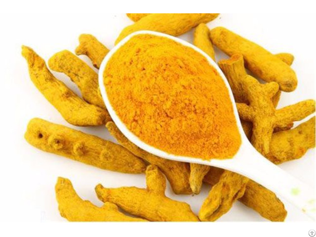 Turmeric Finger Suppliers