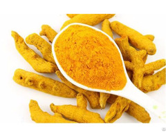 Turmeric Finger Suppliers