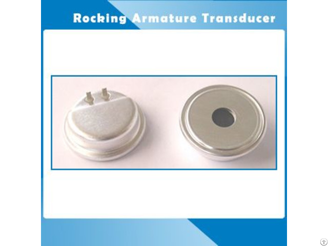 Rocking Armature Transducer