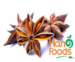 Dried Star Anise Flower From Vietnam
