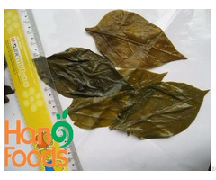 Salted Natural Chili Leaves
